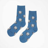 Hund Bichon Havanais