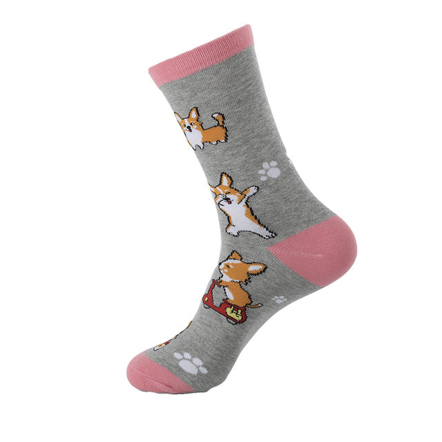Corgi Hund - SokkBuddy