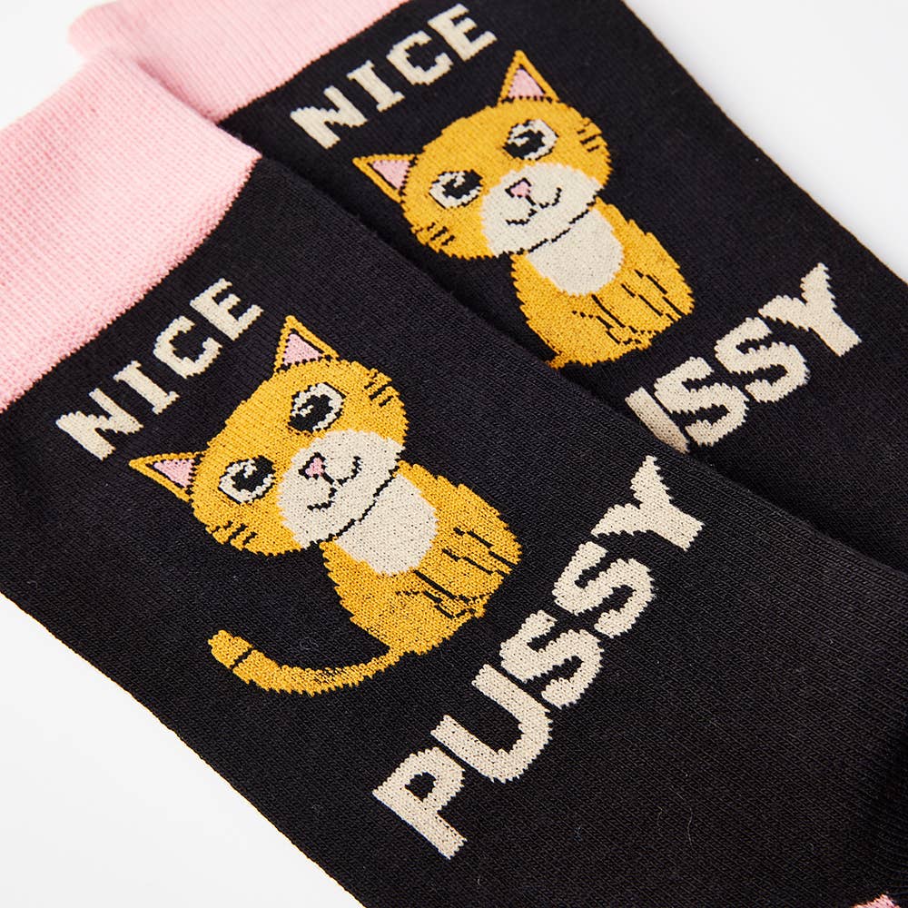 Fin pusekatt