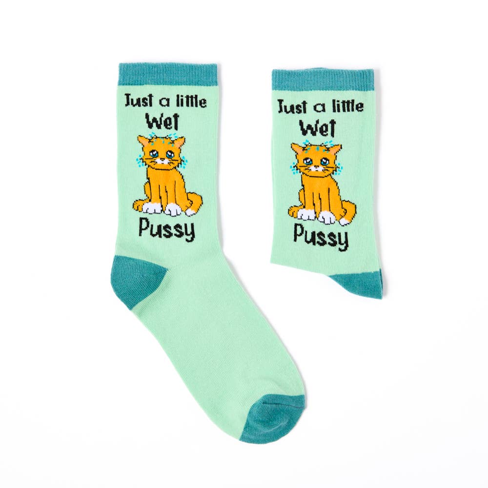 Våt pusekatt